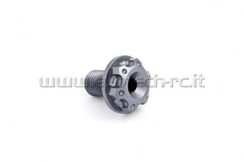 Ergal bolt ant wheel - wheel, honda