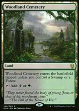 Woodland Cemetery ~ Dominaria [ Excellent ] [ Magic MTG ]