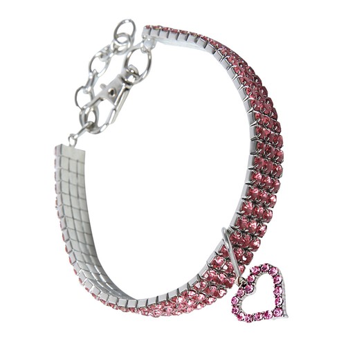 Female dog collar - dog,