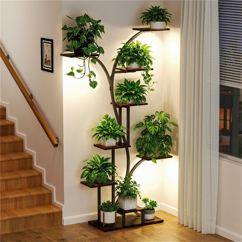 Plant stand indoor with - with, grow