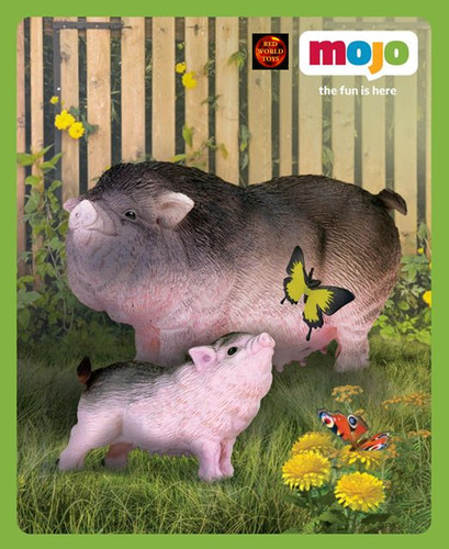 Pot bellied pig and - pot, piglet