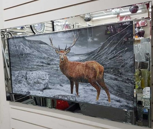 Stag highlands picture - stag,