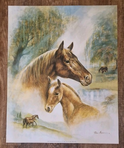 Ruane manning mare foal - foal, –