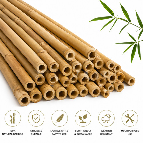 Strong bamboo garden canes - strong,