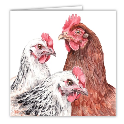 Hens greetings card chickens