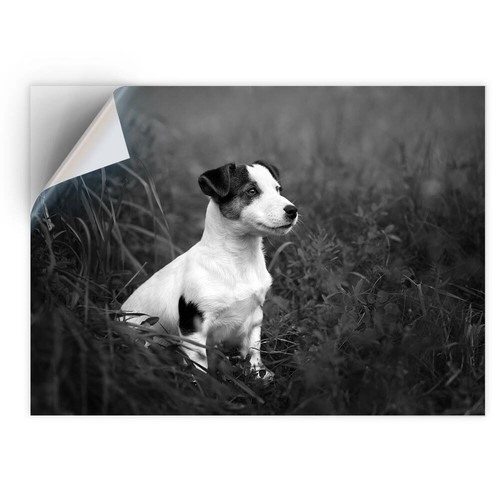 Vinyl sticker bw - vinyl,