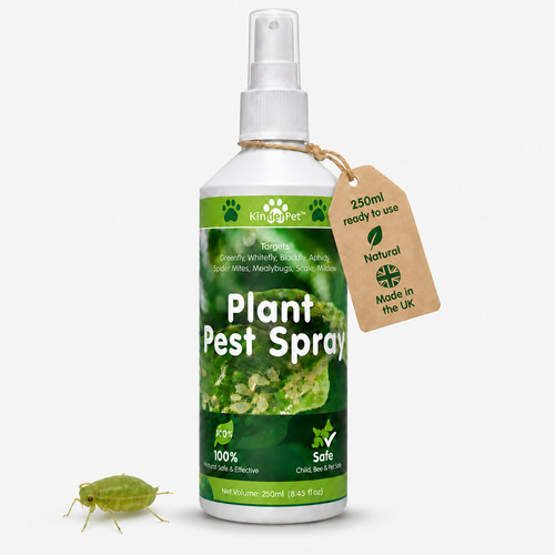 Organic plant spray greenfly - plant,