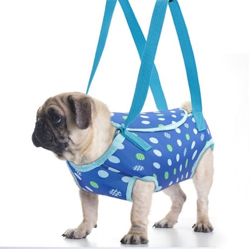 Small dog cat carrier - small,