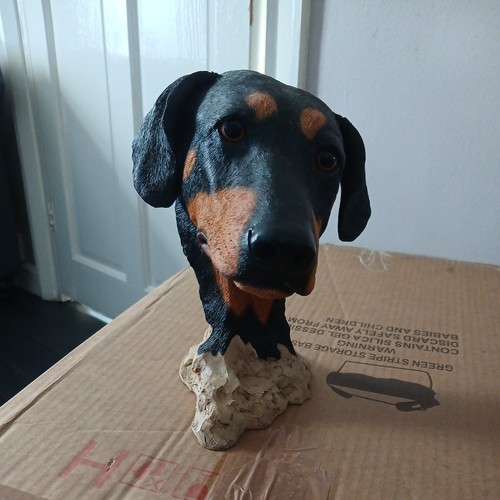 Sherratt simpson doberman - sherratt,