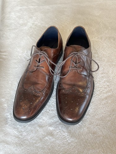 Aldo thiasien wingtip brown - wingtip,