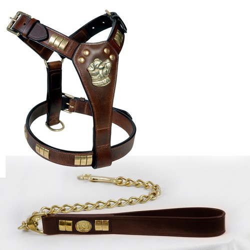Staffy leather dog - staffy, harness