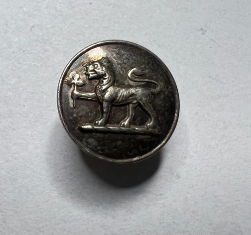 Antique livery button - livery, lion