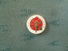 Older labour party enamel - party,