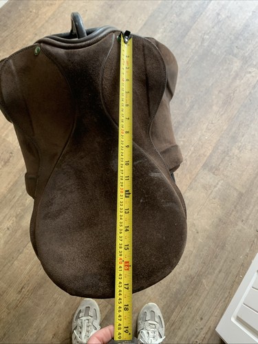 Brown showing saddle inch - showing,