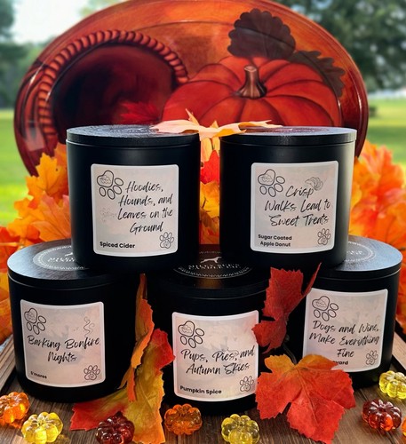 Fall soy candles - candles, dog