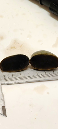 Polished agate pebble - 2x,