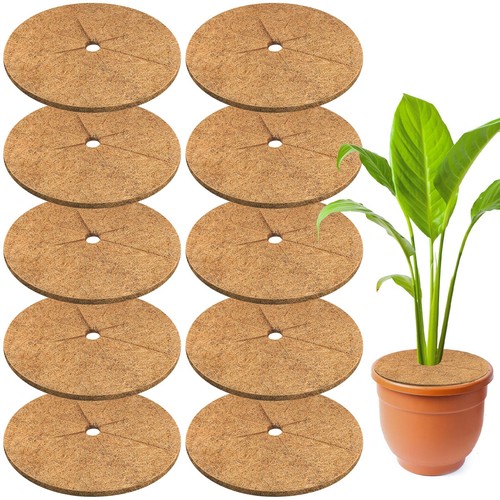 Coconut fiber mulch rings - coconut,