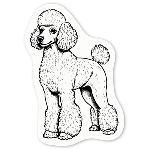 Standard poodle decal - 'standard,