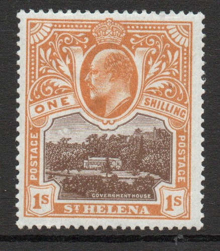 Helena evii 1903 brown - st,