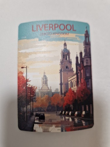 Souvenir fridge magnet - fridge,