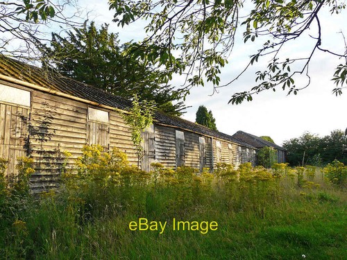 Photo 12x8 disused timber - photo,