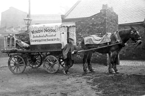 Eyy horse cart cooperative - eyy-87,