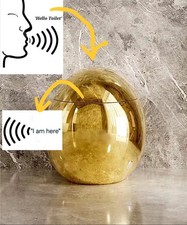 Premium Toilet in GOLD, VOICE
