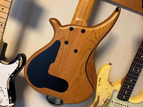 Tune fretless 5 string - tune, fl