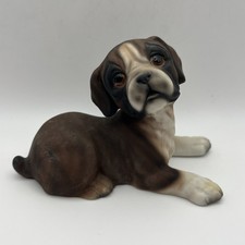 HHH Harvey Knox Boxer Dog