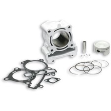 Malossi Sport Cylinder Kit
