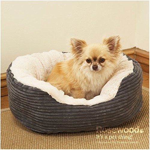 Rosewood jumbo cord - rosewood,