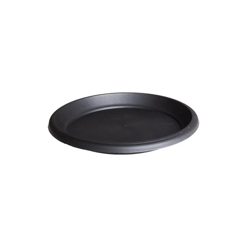 Round saucer shallow - shallow, plant