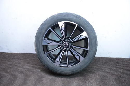 2024 trophy alloy - trophy, 19"