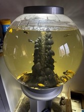 Biorb Classic 60l With stand +