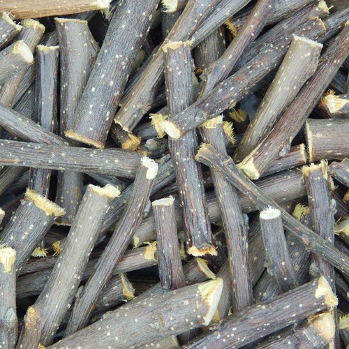 Apple wood chew sticks - sticks, for