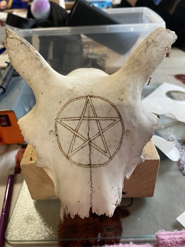 Sheep skull with pyrography - skull,