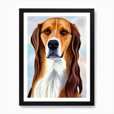 Saluki watercolour dog art - saluki,
