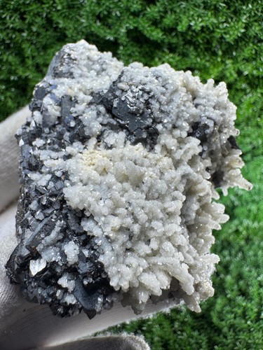 Outstanding specimen galena - specimen,