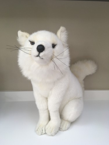 Hansa arctic fox - hansa, soft