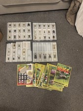 real life bugs and insects 46