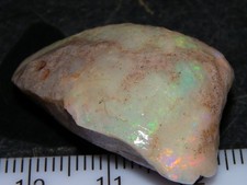 Nice Rough Coober Pedy Shell Fossil Opal Specimen 42.38cts Green/Orange Fires Au