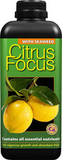 Citrus Food Plant Tree Feed