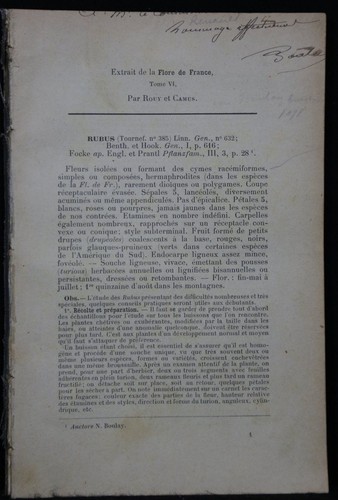 Boulay french treatise - boulay:,