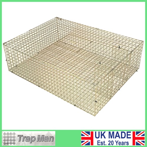 Pigeon trap multi catch feral - trap,