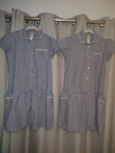 Blue gingham school - blue,