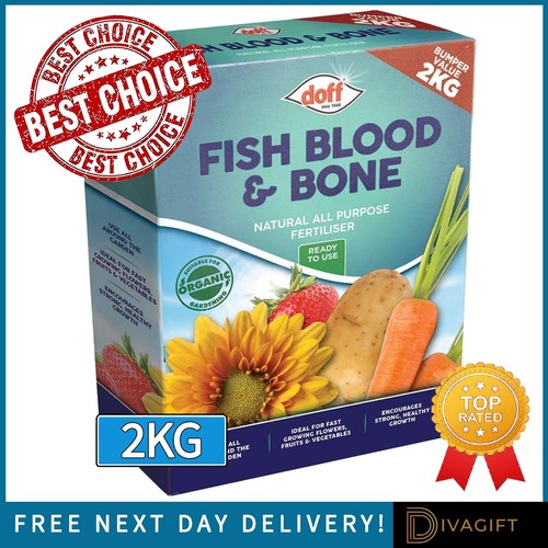 Fish blood bone - fish,