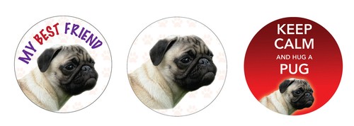 Pug dog car van - car, tax