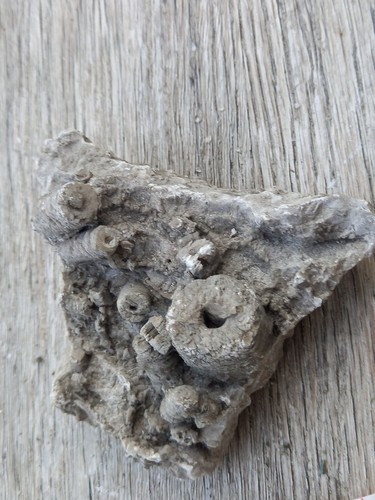 Unusual geode mineral rock - unusual,