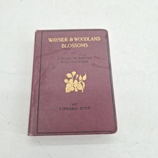 Wayside & Woodland Blossoms