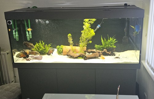 Juwel rio 450 litres aquarium - juwel,